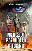 Meklejot pazaudeto ritdienu (eBook, ePUB)