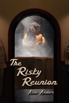 The Risky Reunion (eBook, ePUB) - Anders, Alex