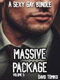 Massive Package - A Sexy Gay Bundle Volume 5 (eBook, ePUB) Massive Package - A Sexy Gay Bundle Volume 5 (eBook, ePUB)