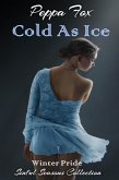 Cold As Ice: Winter Pride (Sinful Seasons) (eBook, ePUB)