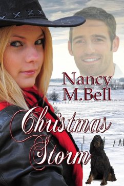 Cover Christmas Storm (eBook, ePUB)