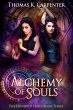 Alchemy of Souls (eBook, ePUB) - Bild 1