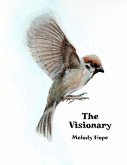 The Visionary (eBook, ePUB)