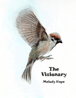 Cover The Visionary (eBook, ePUB)