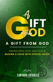 A Gift from God: Finding Hope, Faith, and Love in Raising a Child with Special Needs (eBook, ePUB)