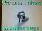 The Little Things (The Michael Biancho Series, #4) (eBook, ePUB)