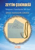 Zeytin Çekirdegi (eBook, ePUB)