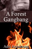 A Forest Gangbang (A Kinky Collection, #34) (eBook, ePUB) A Forest Gangbang (A Kinky Collection, #34) (eBook, ePUB)