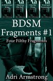 BDSM Fragments #1 (Filthy Fragments, #6) (eBook, ePUB) BDSM Fragments #1 (Filthy Fragments, #6) (eBook, ePUB)