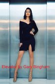 Elevator (eBook, ePUB)
