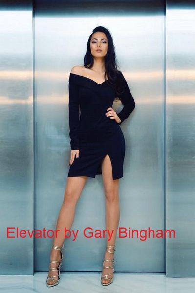 Elevator (eBook, ePUB) Elevator (eBook, ePUB)