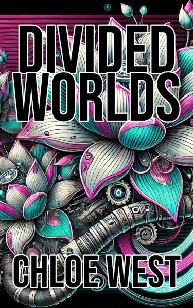 Divided Worlds (eBook, ePUB)
