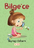 Bilge'ce (eBook, ePUB)