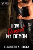 How I Dumped My Demon (eBook, ePUB)