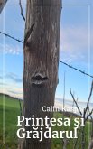 Printesa si Grajdarul (eBook, ePUB)