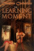 The Learning Moment (eBook, ePUB)