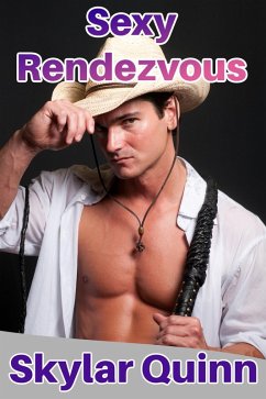 Cover Sexy Rendezvous (eBook, ePUB)