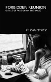 Forbidden Reunion: A Tale of Passion on the Rails (eBook, ePUB) Forbidden Reunion: A Tale of Passion on the Rails (eBook, ePUB)