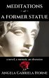 Meditations of a Former Statue (eBook,... - Bild 1