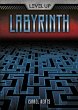 Labyrinth (eBook, ePUB) - Bild 1