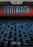 Labyrinth (eBook, ePUB)