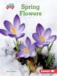 Spring Flowers (eBook, ePUB) - Bild 1