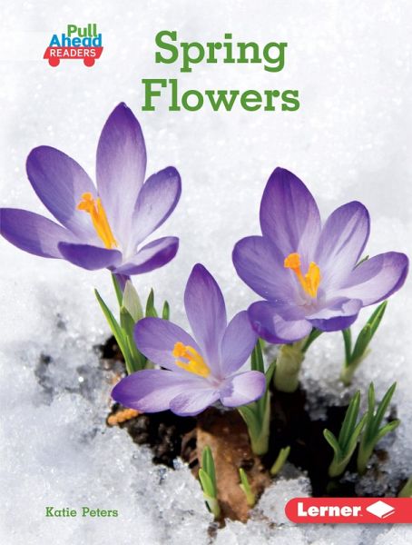 Spring Flowers (eBook, ePUB)