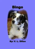 Bingo (eBook, ePUB)