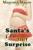 Santa's Creamy Surprise (eBook, ePUB)