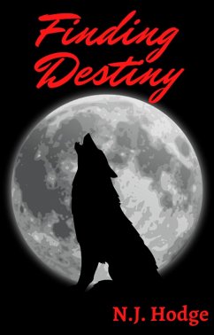 Cover Finding Destiny (eBook, ePUB)