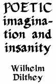 Poetic Imagination and Insanity (eBook, ePUB)