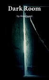 Dark Room (eBook, ePUB)