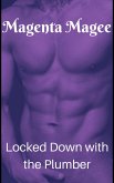 Locked Down with the Plumber (eBook, ePUB) Locked Down with the Plumber (eBook, ePUB)