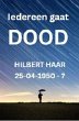 Iedereen Gaat Dood (eBook, ePUB) - Bild 1