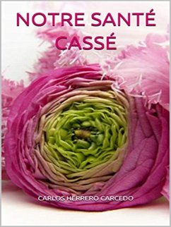 Cover Notre Santé Cassé (eBook, ePUB)