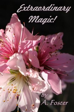 Cover Extraordinary Magic (eBook, ePUB)