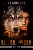 Little Wolf I (An American Western, #1) (eBook, ePUB) Little Wolf I (An American Western, #1) (eBook, ePUB)