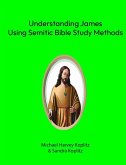 Understanding James (eBook, ePUB)