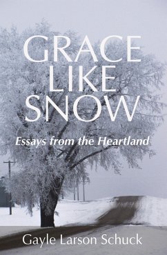 Grace Like Snow (eBook, ePUB) - Schuck, Gayle Larson