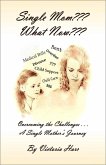 Single Mom??? What Now??? (eBook, ePUB) Single Mom??? What Now??? (eBook, ePUB)