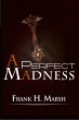 A Perfect Madness (eBook, ePUB) - Bild 1
