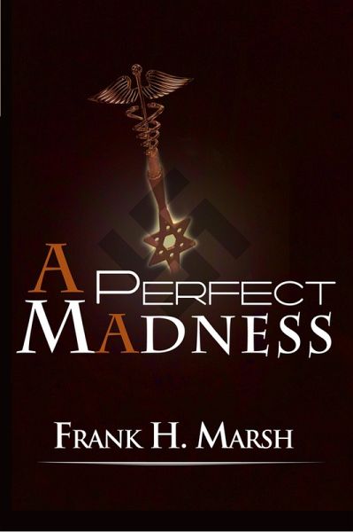 A Perfect Madness (eBook, ePUB)