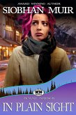 In Plain Sight (Summit Springs Sapphic Romance, #15) (eBook, ePUB)