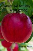 Where We Actually Went Wrong (eBook, ePUB)