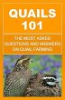 Quails 101: The Most Asked Questions... - Bild 1