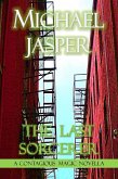 The Last Sorcerer (eBook, ePUB) The Last Sorcerer (eBook, ePUB)