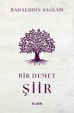 Bir Demet Siir (eBook, ePUB) Bir Demet Siir (eBook, ePUB)