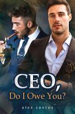 CEO, Do I Owe You? (eBook, ePUB)