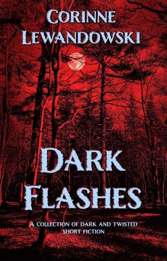 Dark Flashes (eBook, ePUB) Cover Dark Flashes (eBook, ePUB)