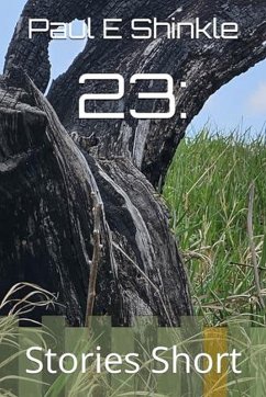 Cover 23: Stories Short (eBook, ePUB)